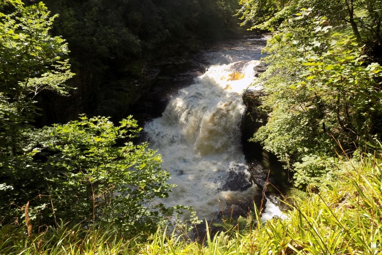 Hike World Heritage Reserve Waterfalls