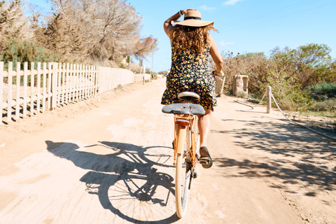 Ibiza: Formentera Boat and Bike Guide Tour +Sunset Party Gold Edition: Formentera Bike & Boat Adventure from Ibiza