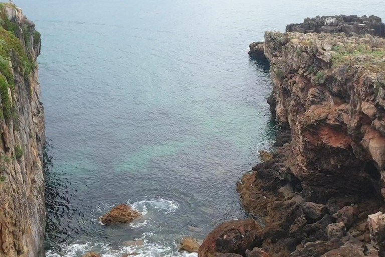 Sintra: Tour privato e personalizzabileTour di un&#039;intera giornata a Sintra (10 ore)