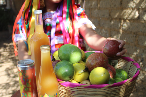 Oaxaca: Sustainable Mezcal Tour at an Award-Winning Family Distillery