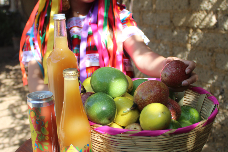 Oaxaca: Sustainable Mezcal Tour at an Award-Winning Family Distillery