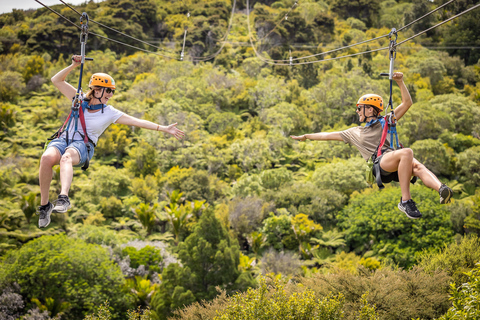 Waiheke Island Zipline & Native Forest Adventure With Pickup and Drop-Off