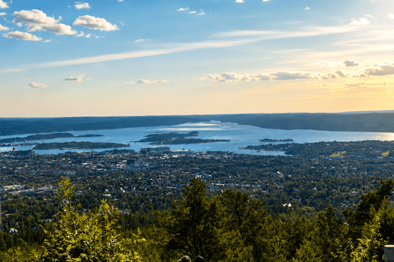 Oslo: Vettakollen Viewpoint & Holmenkollen Ski Jump