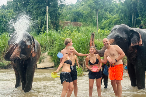 Chiang Mai: Elephant Sanctuary & Thai Cooking Workshop Meeting Point In Town