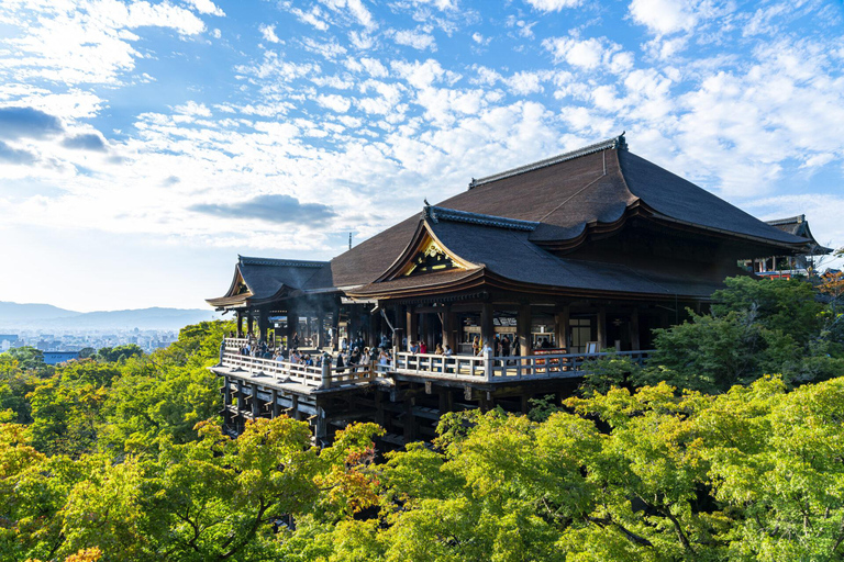 6-Day Osaka & Surroundings Tour