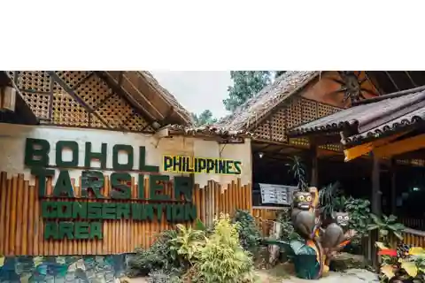 Bohol: Choco Tour + Rio Verde Lunch Buffet