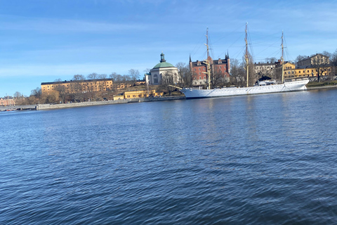 Estocolmo: tour guiado de 2 horas por las islas del archipiélago