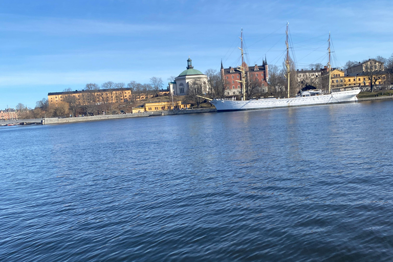Estocolmo: tour guiado de 2 horas por las islas del archipiélago