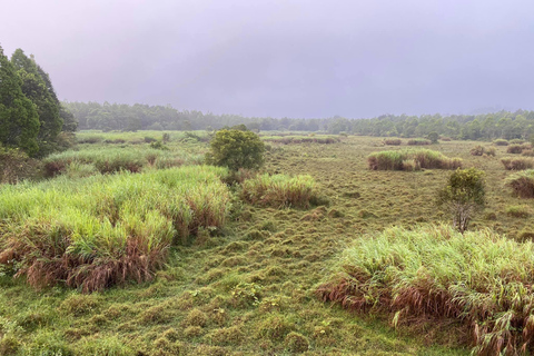 Cat Tien National Park Private 2-Day Tour With Female GuideFood, hotel are excluded