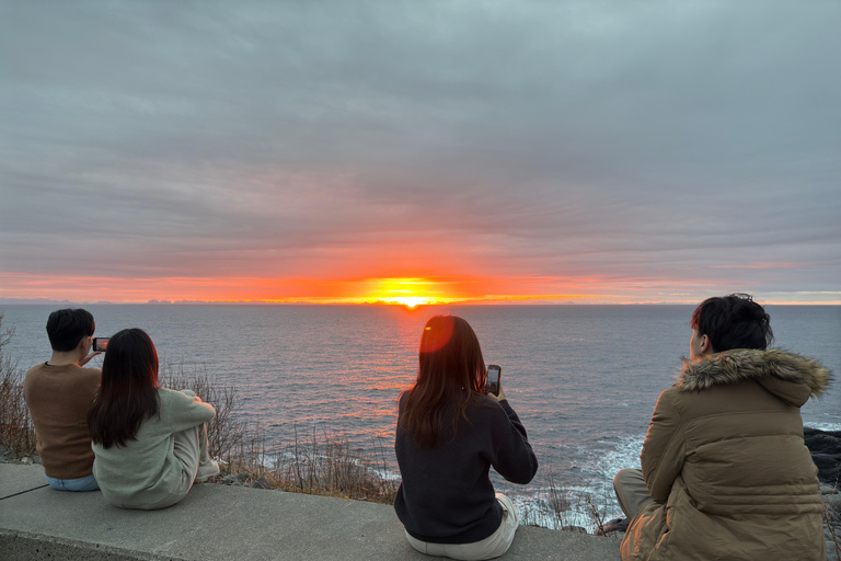 Svolvær: Rondleiding met gids over de Lofoten Eilanden