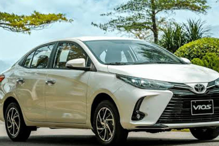 Mactan-Cebu Internationale Luchthaven: Moalboal VervoerPrivé autotransfer (1-4 personen)