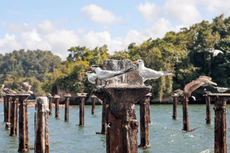 Hotel Cano Hondo : Pernoita e passeio de barco Los Haitises