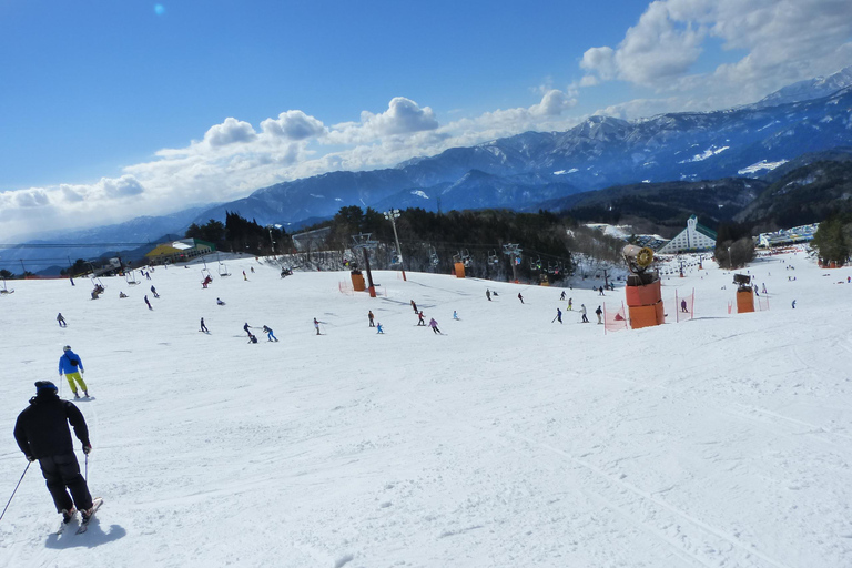 Nagoya: Washigatake Ski Resort Day Trip with Lift Ticket Nagoya: Include bus fare & lift ticket