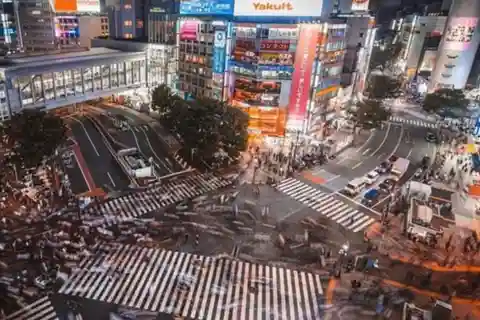 東京：インスタ映えする東京シティ 1 日プライベート ツアー