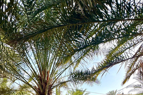 Nizwa, Al Hamra & Misfat Al Abriyeen: Guided tour in German.