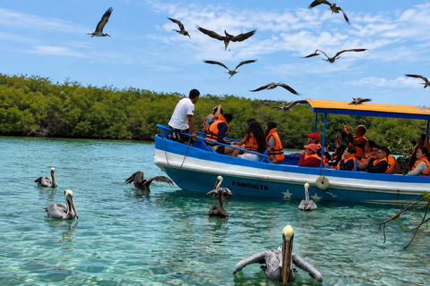 From Tumbes: Puerto Pizarro Mangrove and Islands Boat Tour