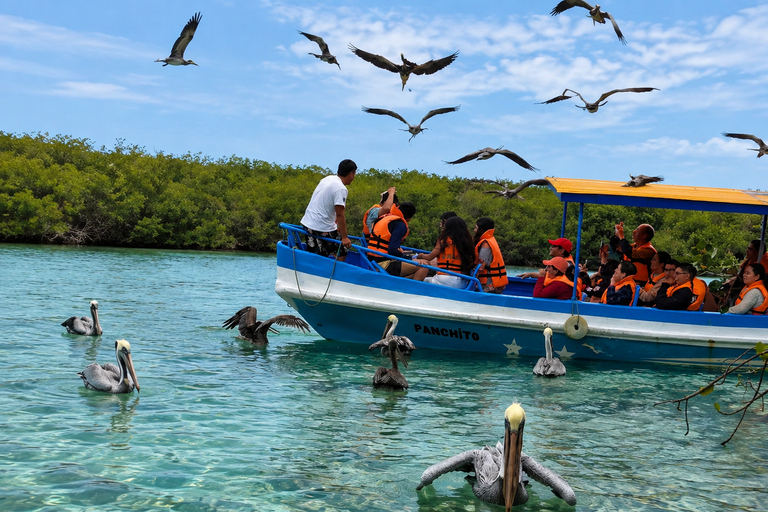 From Tumbes: Puerto Pizarro Mangrove and Islands Boat Tour