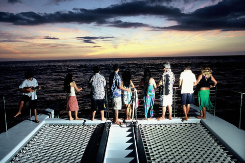 Luxury Sunset Cruise, Snorkeling, Dolphin Watch, & Buffet Oahu: Private Sunset Snorkel & Dolphin Watch with Dinner