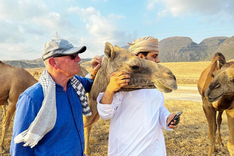 塞拉莱：全天沙漠越野之旅（含午餐）塞拉莱：全天沙漠探险之旅（含午餐）