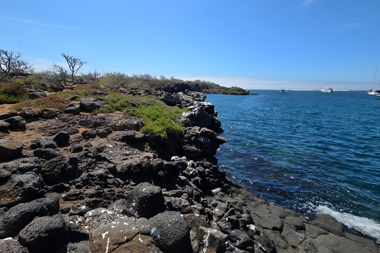 3 incredibili tour di un giorno nell&#039;arcipelago delle Galapagos