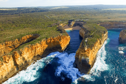 De Melbourne: Great Ocean Road e excursão de dia inteiro aos 12 Apóstolos