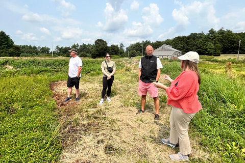 Guided Tour of a Local New England Cranberry Farm