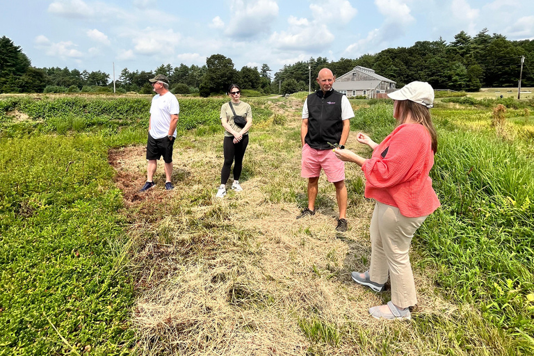 Guided Tour of a Local New England Cranberry Farm