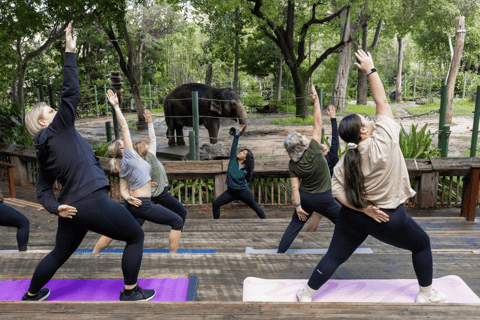 Zen i djurparken