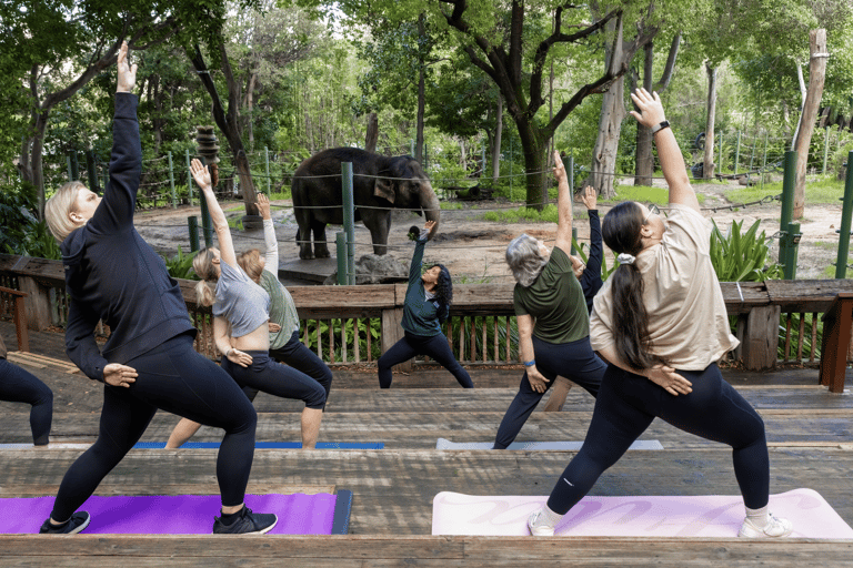 Le zen au zoo