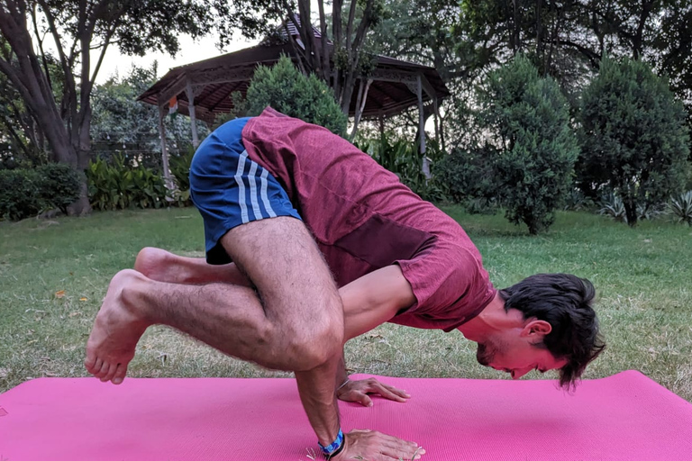 Delhi: Yoga im Lodhi-Garten