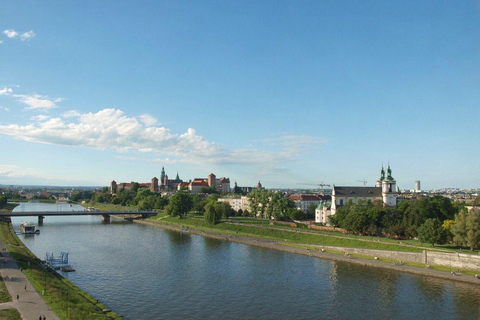 Führung durch das Wawel-Schloss und die Kathedrale in KrakauSpanische Tour