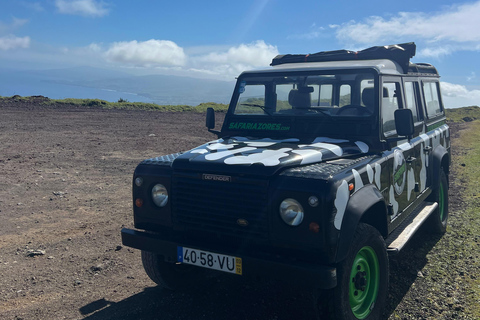 Halve dag - Lagoa do Fogo