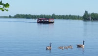 Giethoorn, Geführte Bootstour Stadt und See Sehenswürdigkeiten - Hizvo