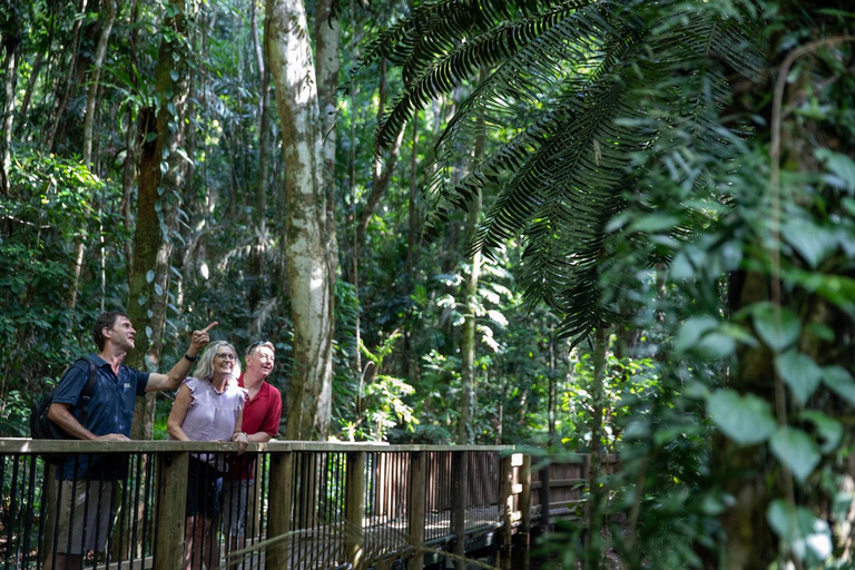 Visite d'exploration du sud de la Daintree - demi-journéeVisite d'une demi-journée + habitat de la faune sauvage