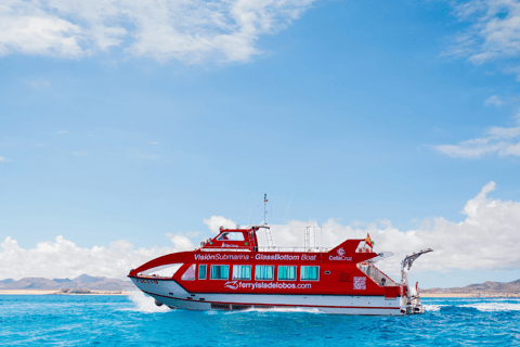 Fuerteventura: 1-stündige Mini-Schwimm- und Schnorcheltour