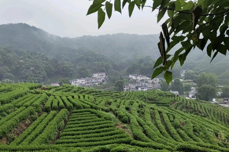 Suzhou: Hangzhou Nine Creeks & Longjing Tea Village Trip