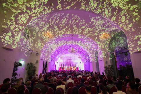 Vienne : visite en soirée, dîner et concert au château de SchönbrunnCatégorie B