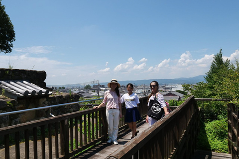 Nara : visite d&#039;une demi-journée au patrimoine de l&#039;UNESCO et visite à pied de la culture locale