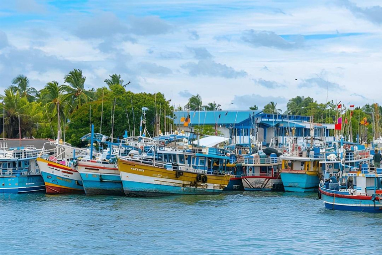 From Negombo: Private Transfer to Hiriketiya with Stops