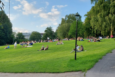 3,5 Hours Walking Tour for Great Food in Oslo