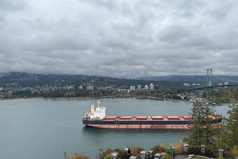 Vancouver: Hop-On Hop-Off City Tour by Car, Small Group