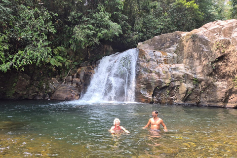 4 Hour Sinharaja Rainforest Tour