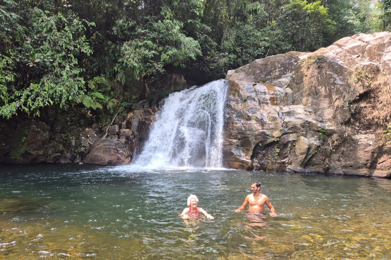 4 Hour Sinharaja Rainforest Tour