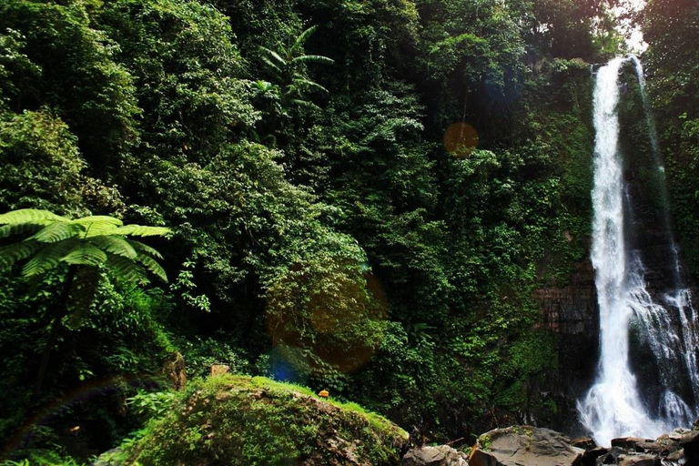 Bali: geheime en ontoeristische rondreis door Noordwest-Bali.