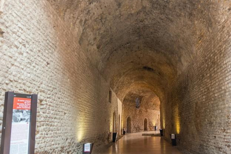Roman Circus & Praetorium Combined Entry Ticket Tarraco