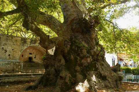 Desde Elounda: excursión de un día a la cueva de Zeus y al este montañoso de CretaLimusina 3 plazas Premium Class o SUV