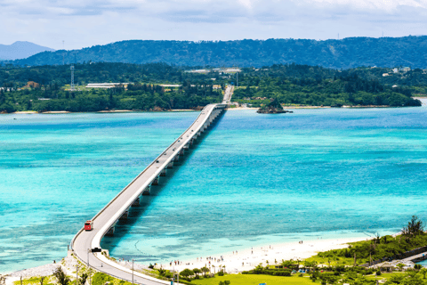 Okinawa Tour: Shurijo Castle, Cape Manza, Kouri &amp; Aquarium