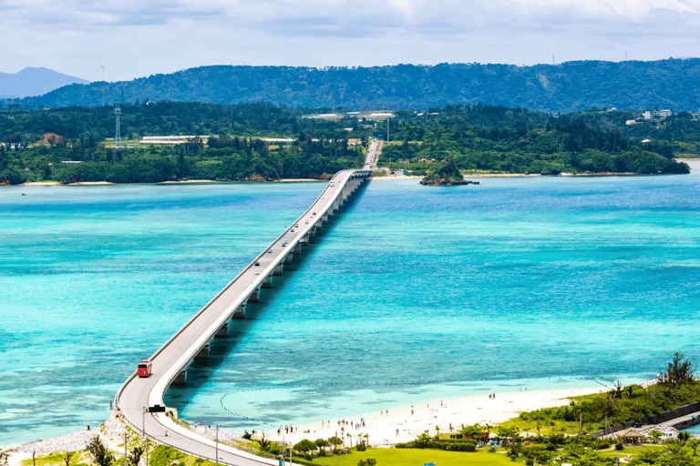 Okinawa Tour: Shurijo Castle, Cape Manza, Kouri &amp; Aquarium