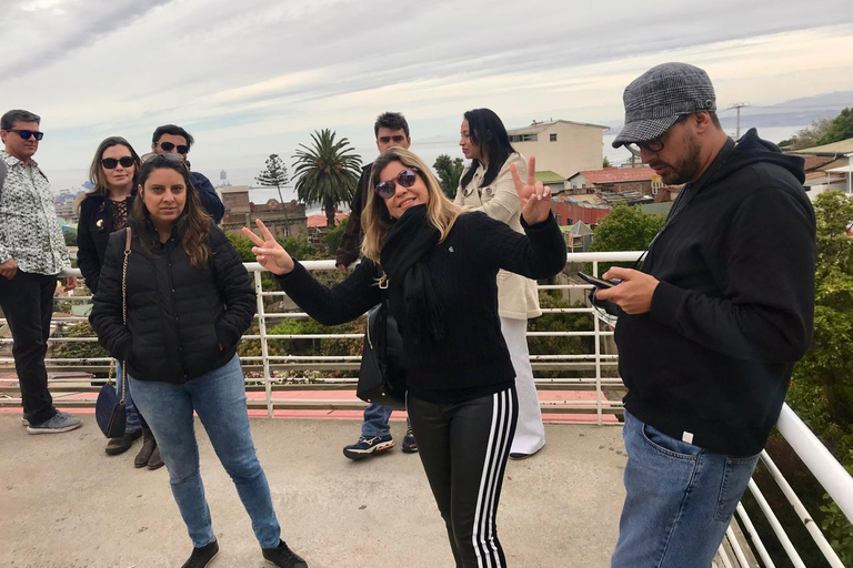 From Santiago: Full-Day Tour of Viña del Mar and Valparaiso