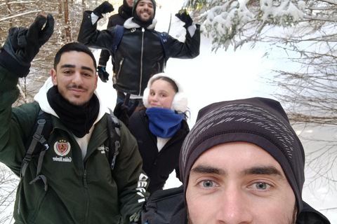 Brasov: Malaiesti Mountain Hut Guided Hike